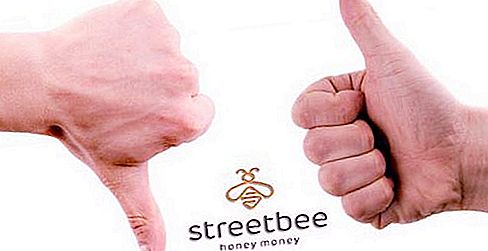 Streetbee: Recenzije zaposlenika