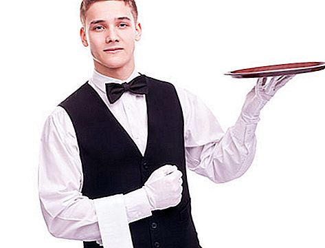 Work as a waiter: a description of the profession, the pros and cons