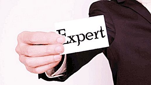 Responsabilités d'un expert: description de poste, droits et obligations