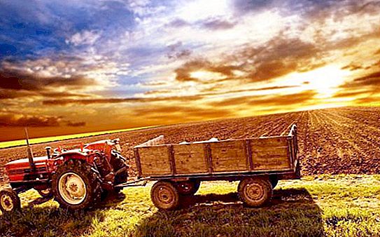 Kmetijski traktor: opis poklica, navodila