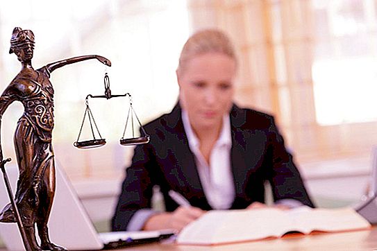 Vale a pena estudar como advogado, os prós e contras da profissão. Salário do advogado