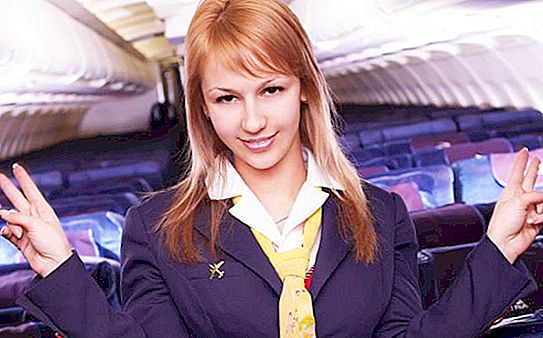 Stjuardesa: što je potrebno za prijem? Što je potrebno da postanete stjuardesa?