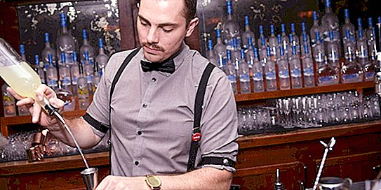 Karya Bartender: penerangan, kebaikan dan keburukan, kehalusan profesion