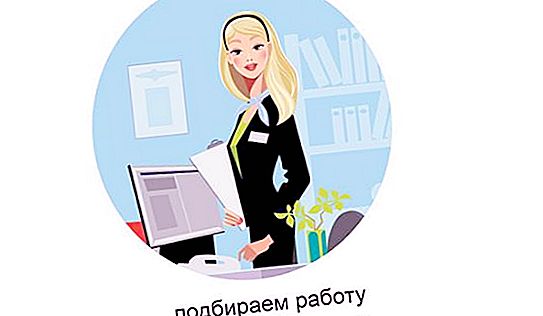 What is expected from the administrator? What awaits the administrator in St. Petersburg?