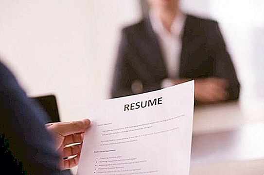 Kako narediti dober življenjepis? HR svetovanje